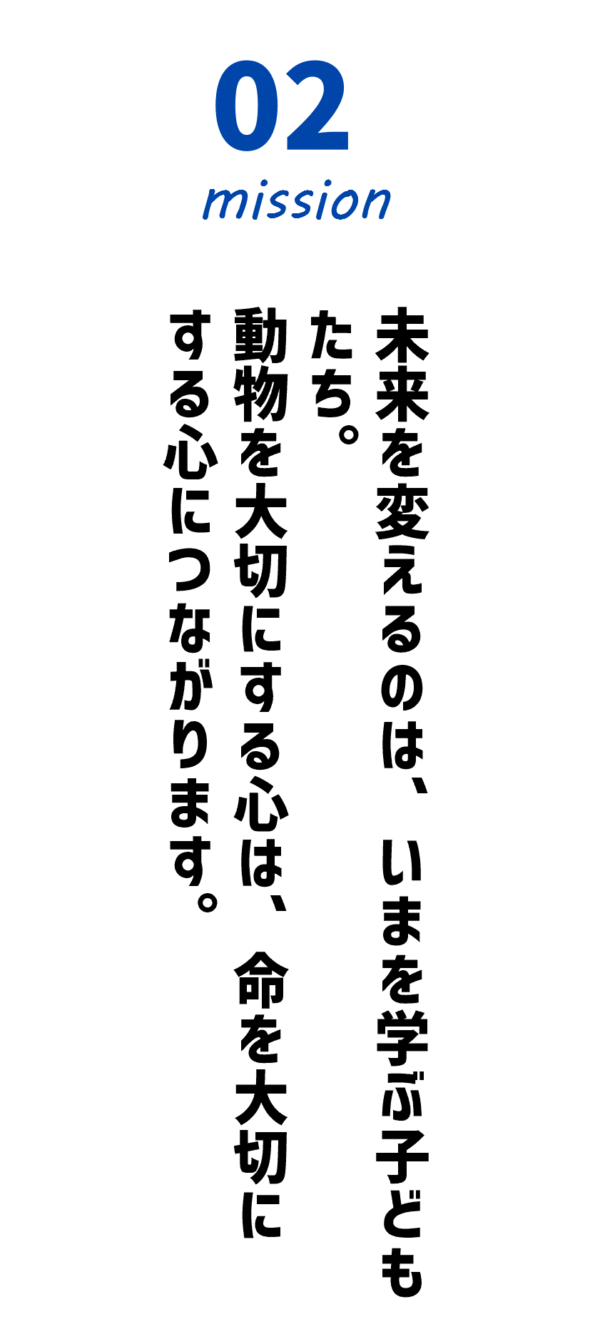 Evaの教育事業