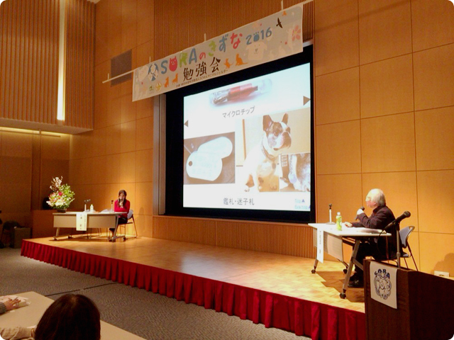 東日本大震災の被災動物から考える「動物と人の共生」