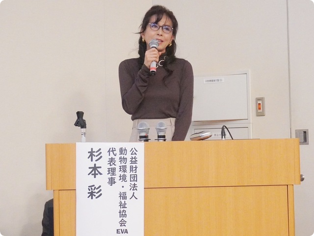 公益財団法人動物環境福祉協会Eva 代表理事 杉本彩