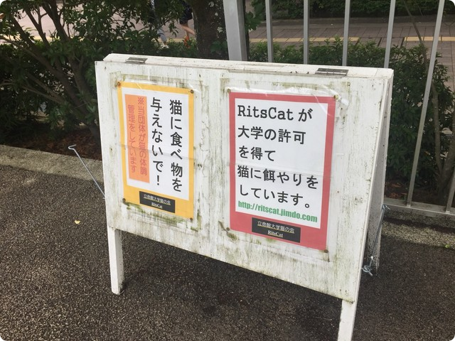 立命館大学猫活動