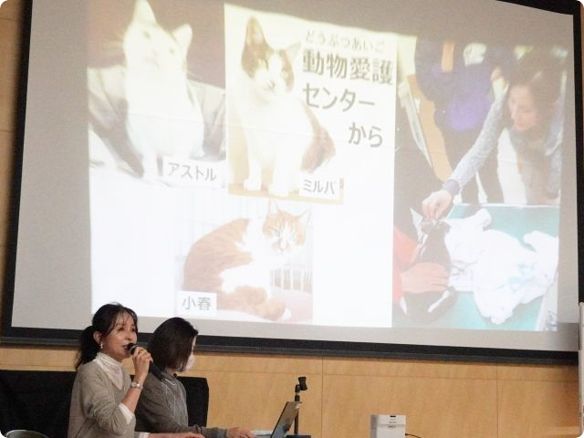 立川市立若葉台小学校