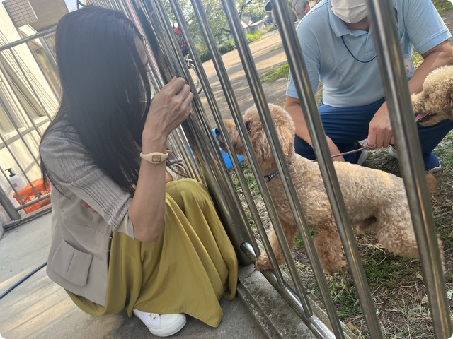 大阪市イベント 杉本彩