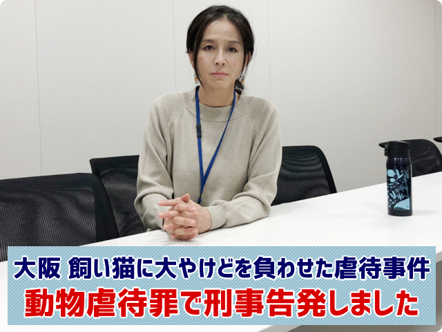 大阪 飼い猫に大やけどを負わせた虐待事件