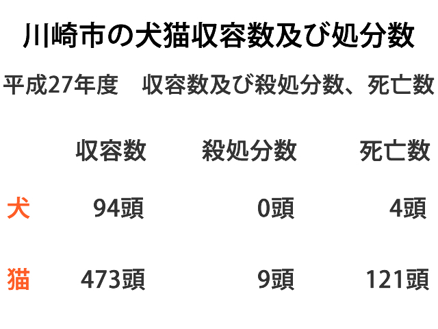 川崎市の犬猫収容数及び処分数