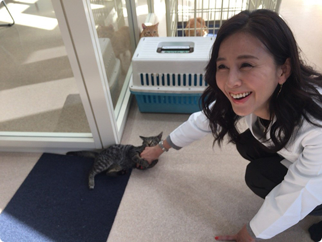 大阪府動物愛護管理センター（アニマルハーモニー大阪）視察