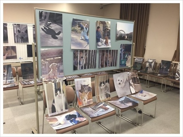 「殺処分ゼロのセンターで生きるということ」写真展