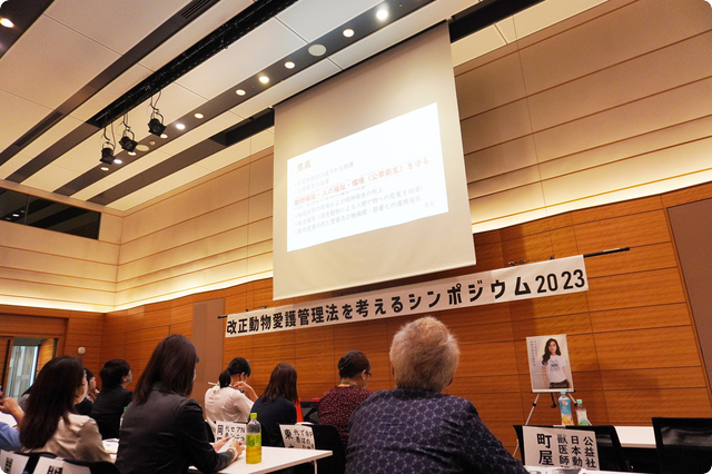 緊急一時保護の必要性 公益社団法人日本動物福祉協会 獣医師調査員 町屋奈様