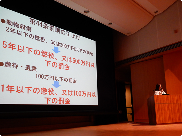 虐待事例からみる法改正