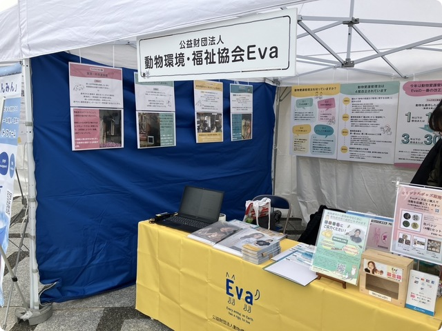 民主主義ユースフェスティバル2025　東京