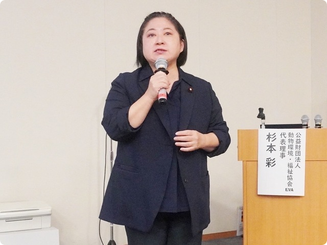 衆議院議員（立憲）小宮山泰子様