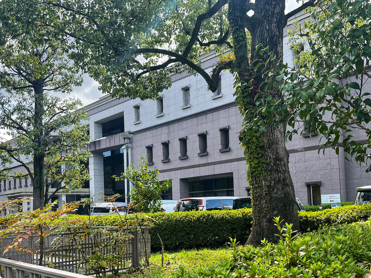 京都猫殺傷事件：初公判傍聴