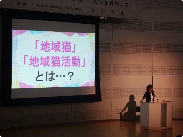 はりフェス