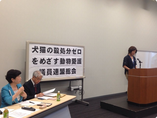 公益財団法人動物環境福祉協会Eva松井久美子