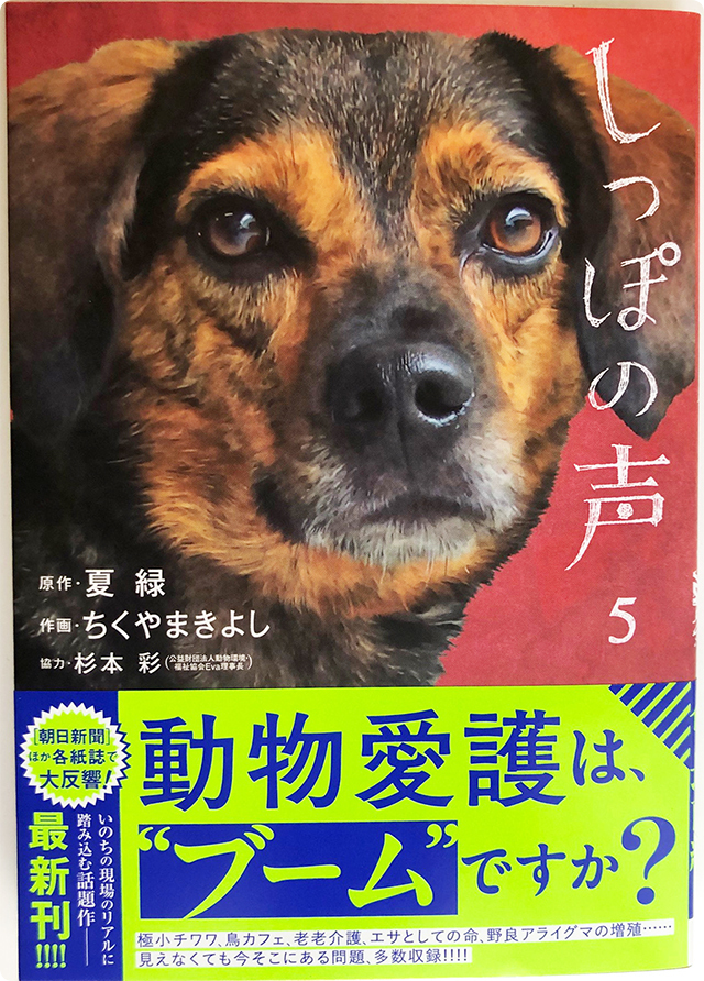しっぽの声4