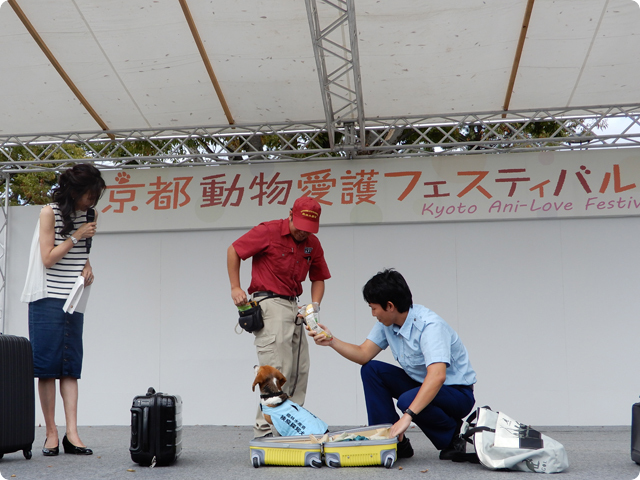 平成30年度京都動物愛護フェスティバル（Kyoto Ani-Love Festival）