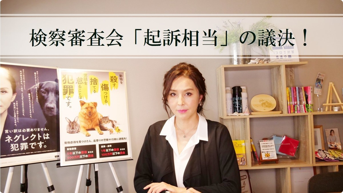 大阪府 飼い猫に火をつけ大やけどを負わせた虐待事件