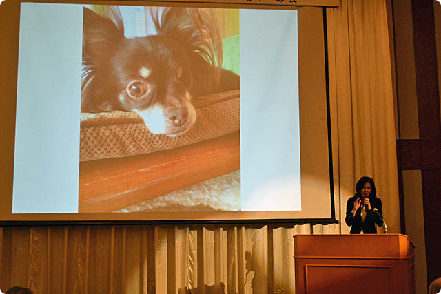 さいたま新都心ロータリークラブ 創立25周年記念講演会「動物愛護発展のために大切なこと」