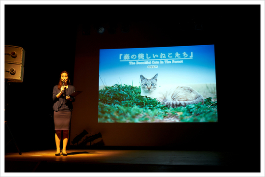 「森の美しいねこたち」～地域猫～