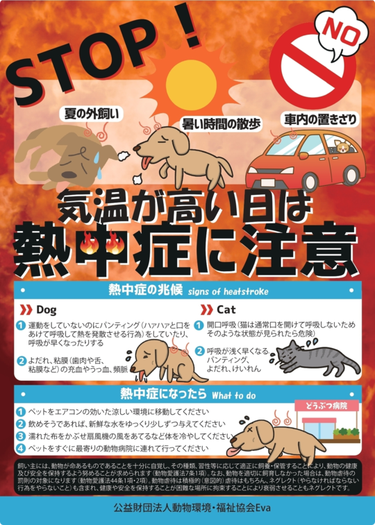 ペット流通と引取り屋