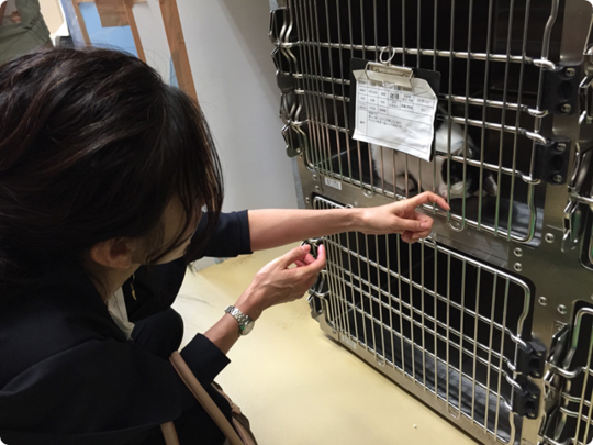 旭川市動物愛護センター「あにまある」の視察　理事長杉本彩