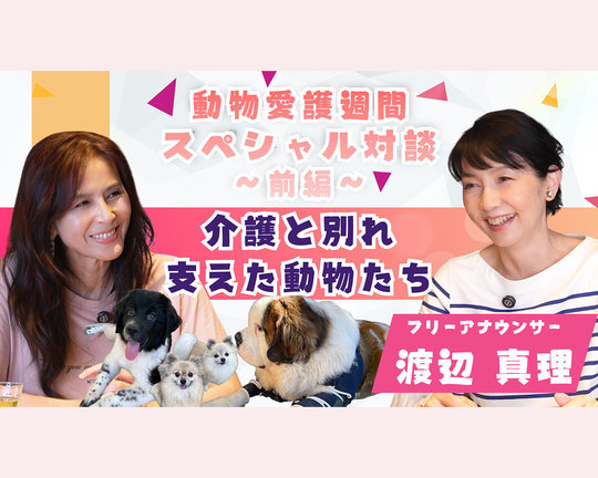 Evaチャンネル