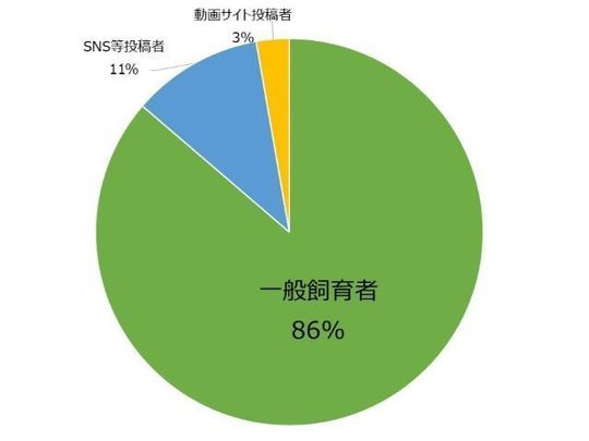 虐待する一般加害者の内訳