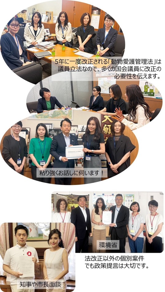 国会議員、知事・市長、関係省庁面談