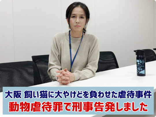 大阪 飼い猫に大やけどを負わせた虐待事件