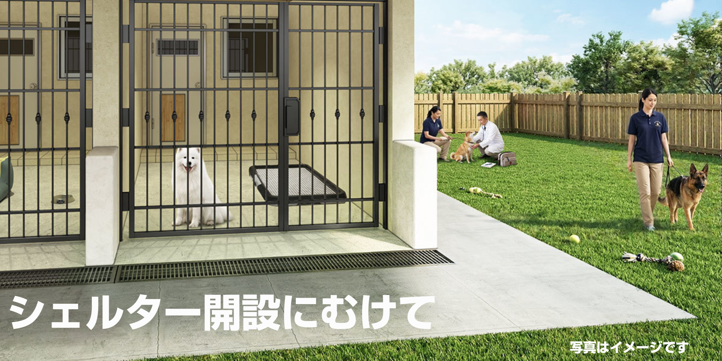 動物保護シェルター開設にむけて
